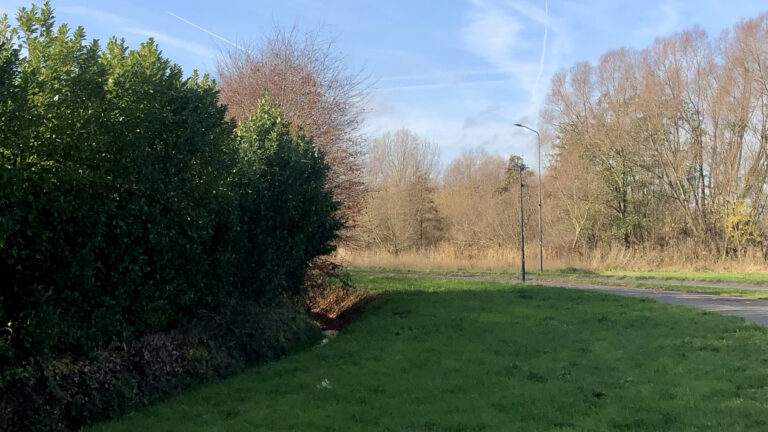 Inzicht is geen verandering