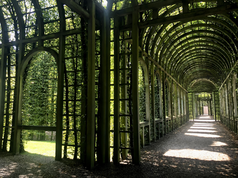 Coaching is geen advies