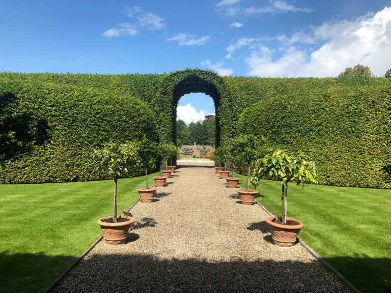 Schaduw in de voorgrond, pad naar een poort in een heg met blauwe lucht en tuin erachter.