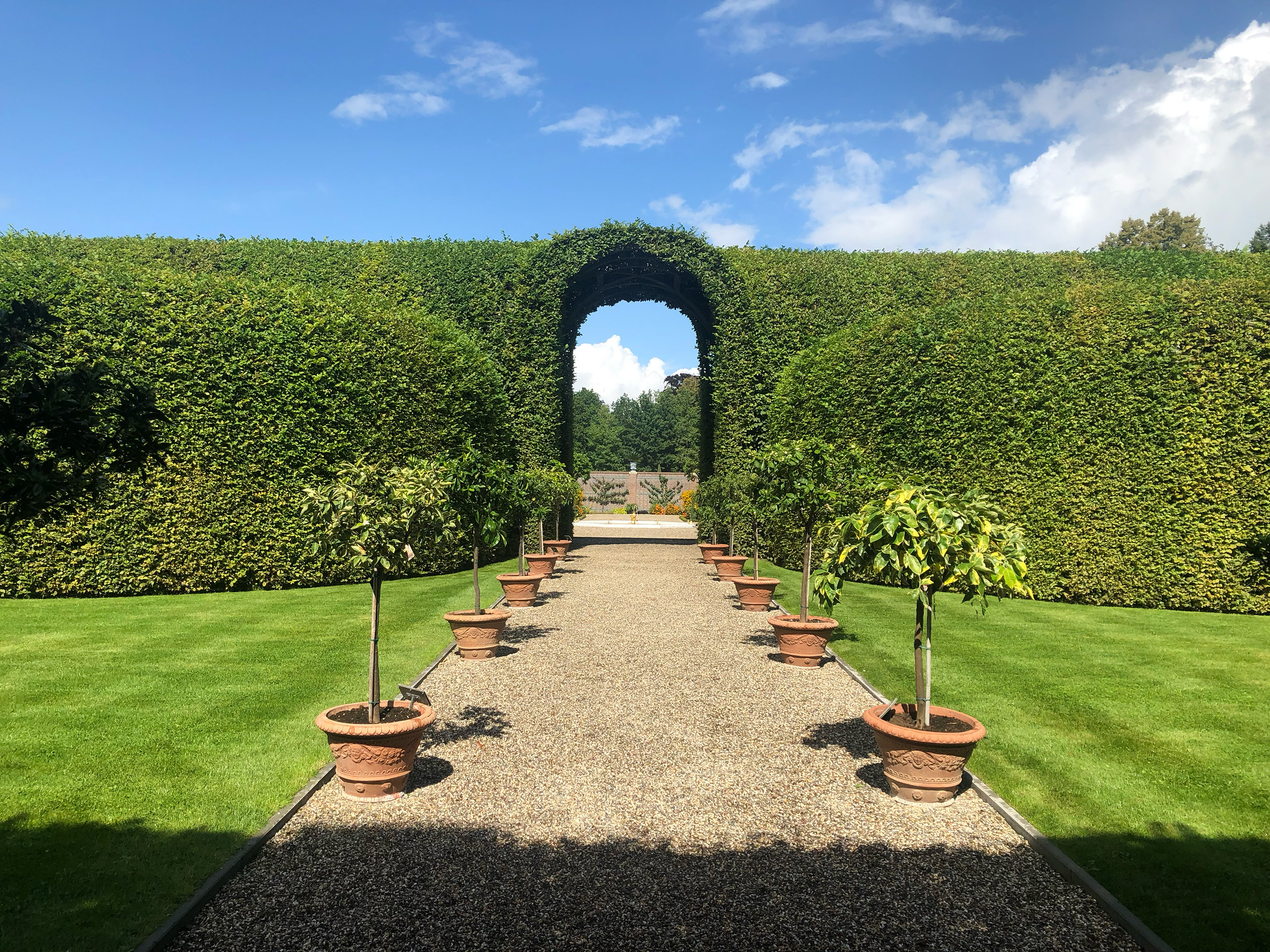 Schaduw in de voorgrond, pad naar een poort in een heg met blauwe lucht en tuin erachter.