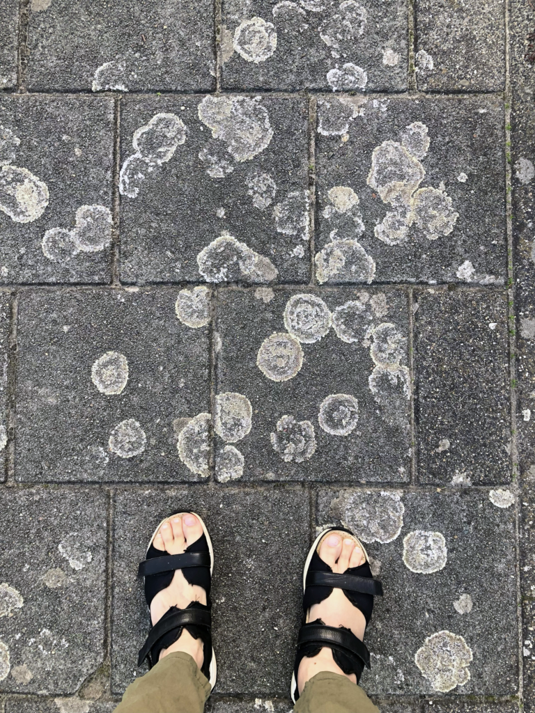 Je patronen zijn sterker dan je plannen