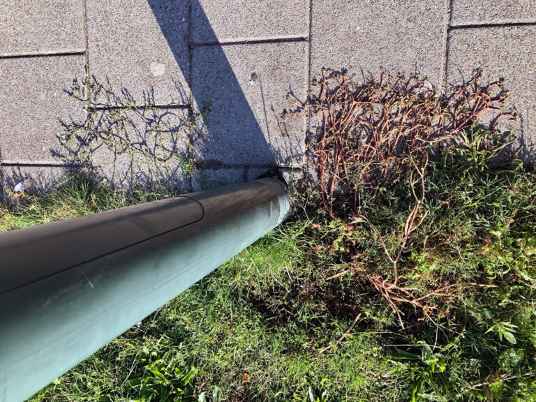 De rol van aanwezigheid in transformatie