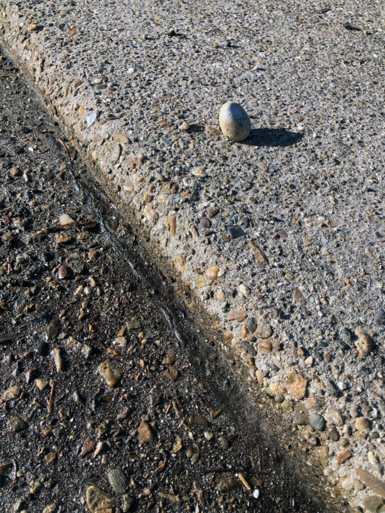 Taal als toegang tot volwassen handelen